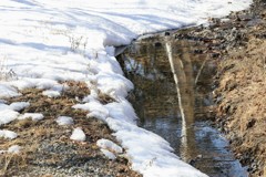 雪解け②