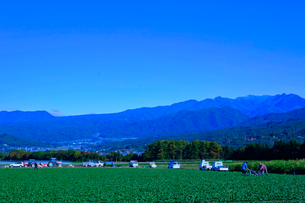 高原の農場②