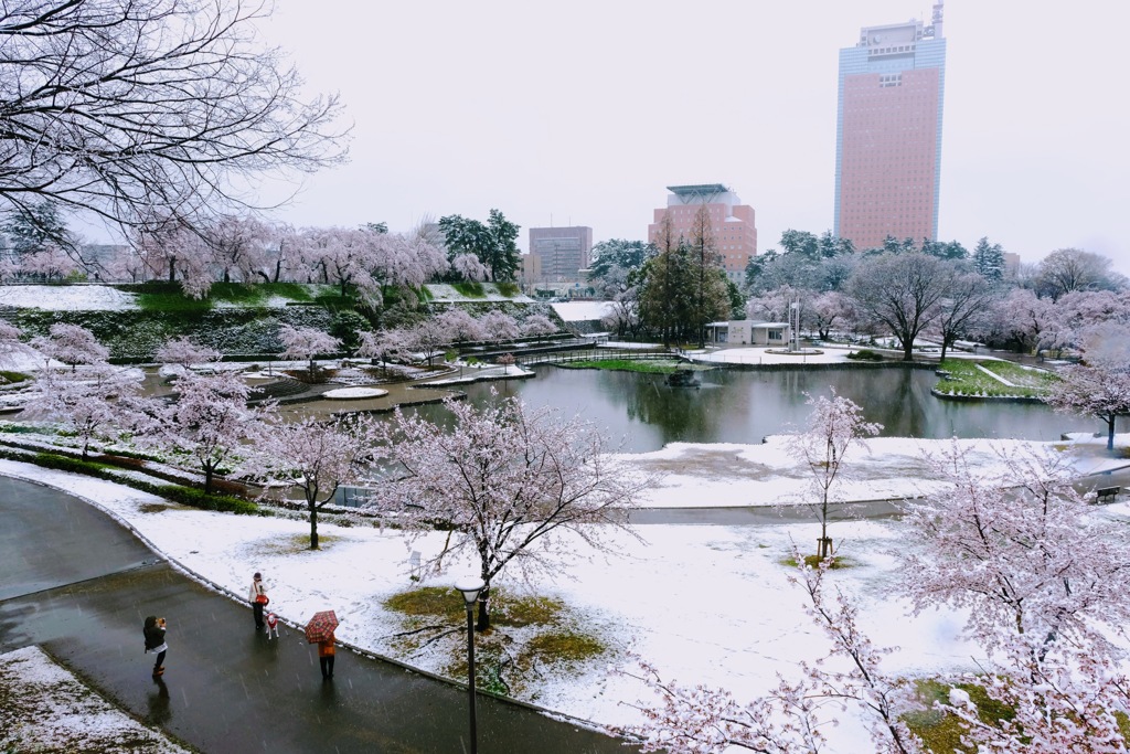 前橋公園④