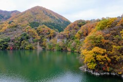 薗原ダム湖の紅葉④