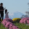 あかぼり小菊の里①