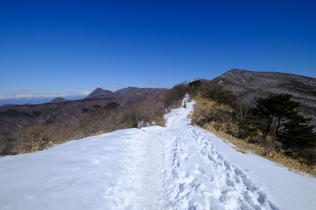 尾根道