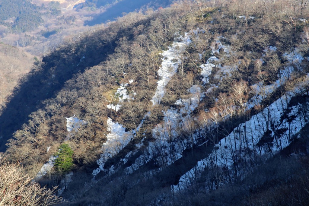 残雪