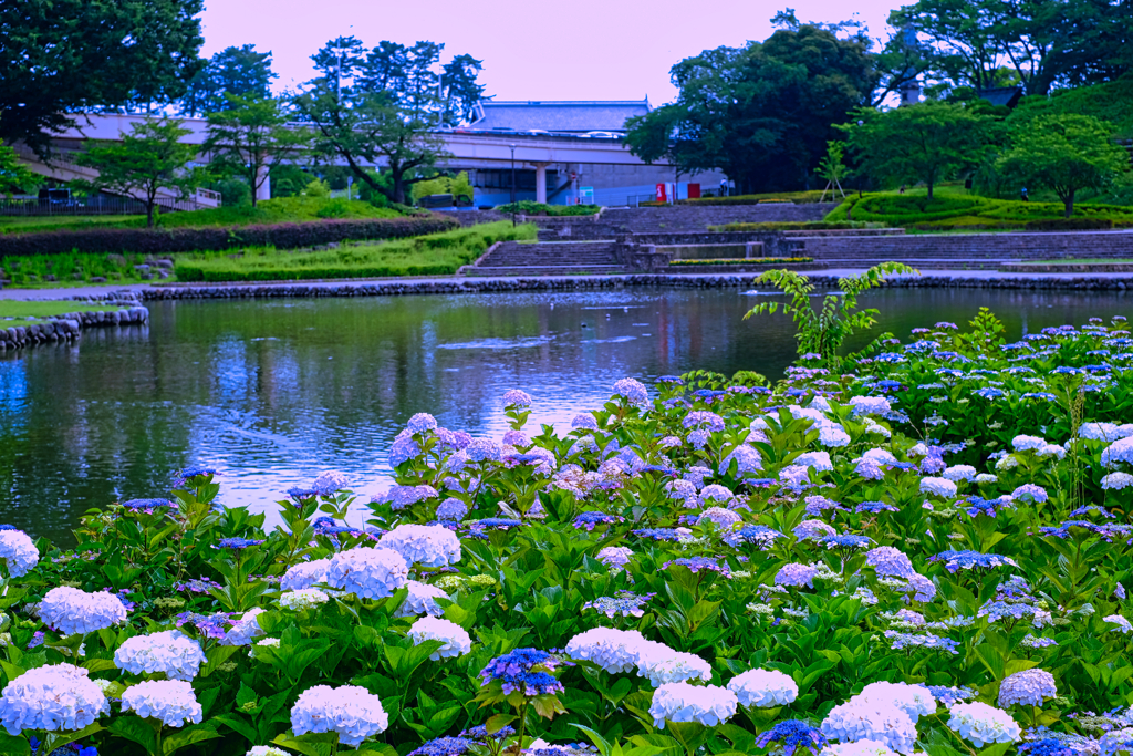 前橋公園①