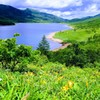 初夏の野反湖