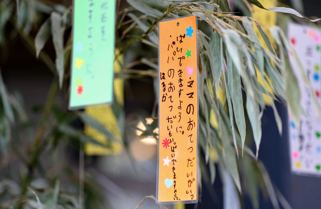 小さなねがいごと