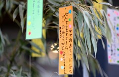 小さなねがいごと