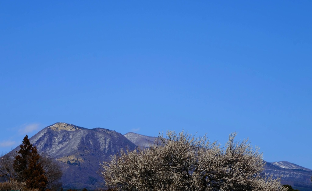 鍋割山②