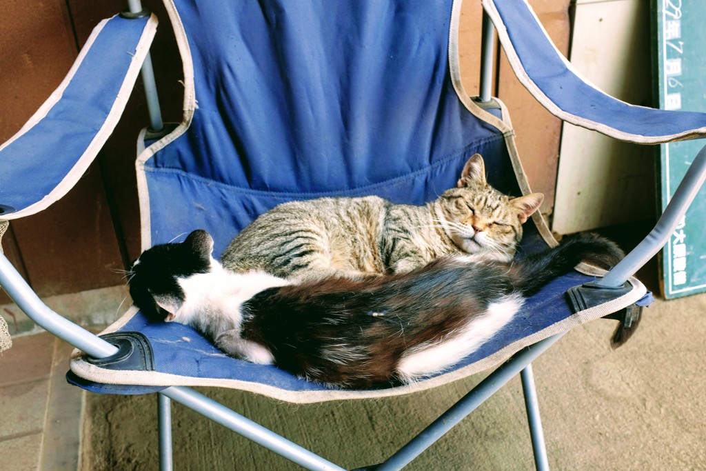 猛暑の中