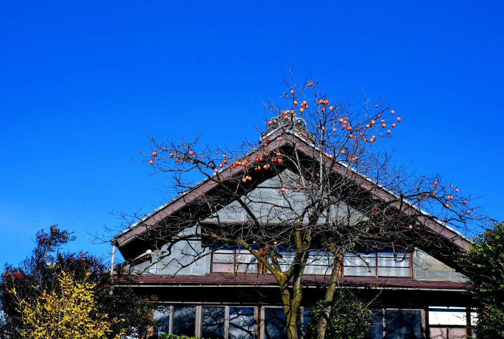 寒空②