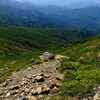 至仏山の黄色い花