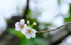 早とちり