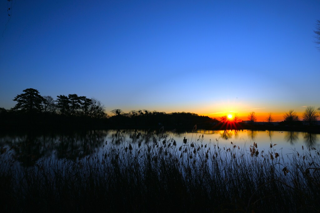 大室公園の朝①
