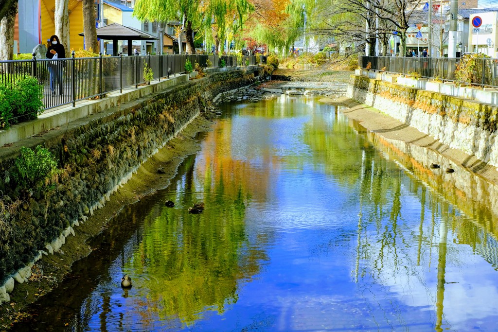 広瀬川④