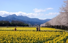 岩井親水公園①