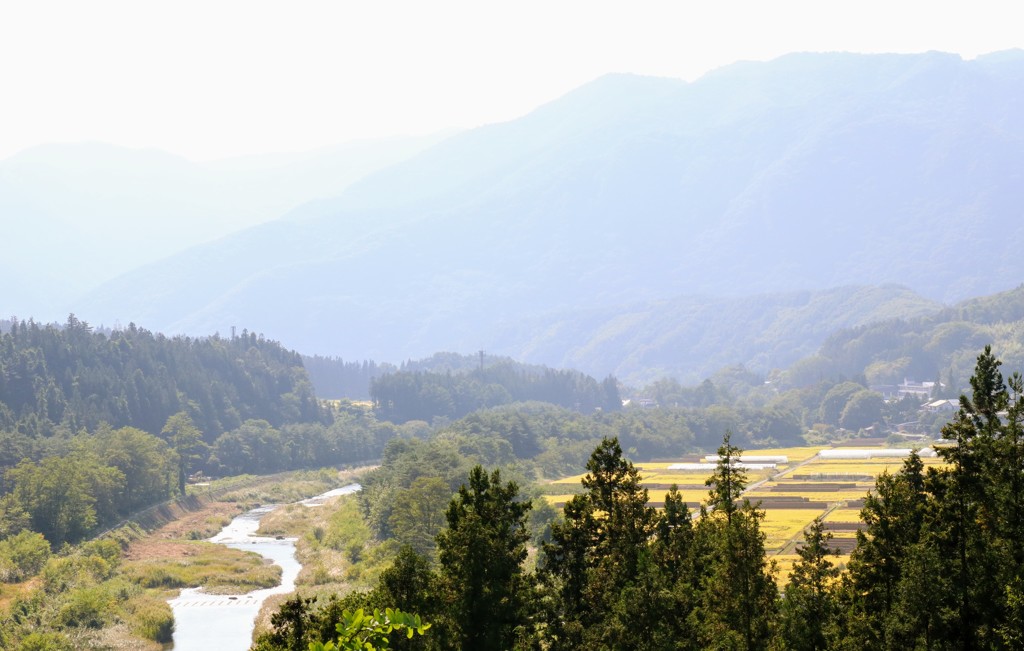 田園