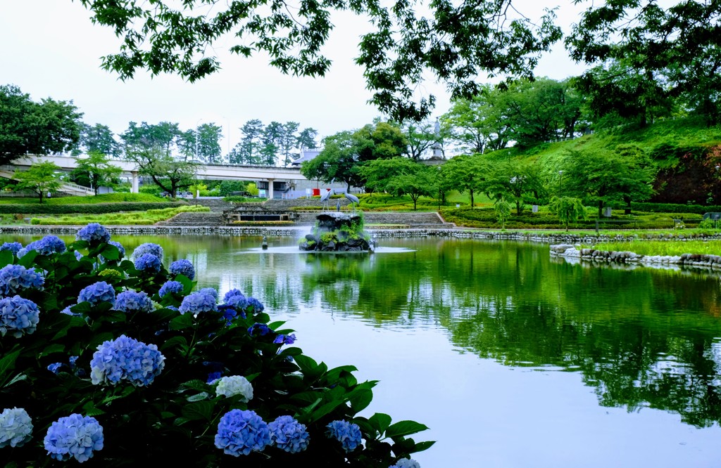 前橋公園にて①