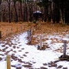 赤城自然園①