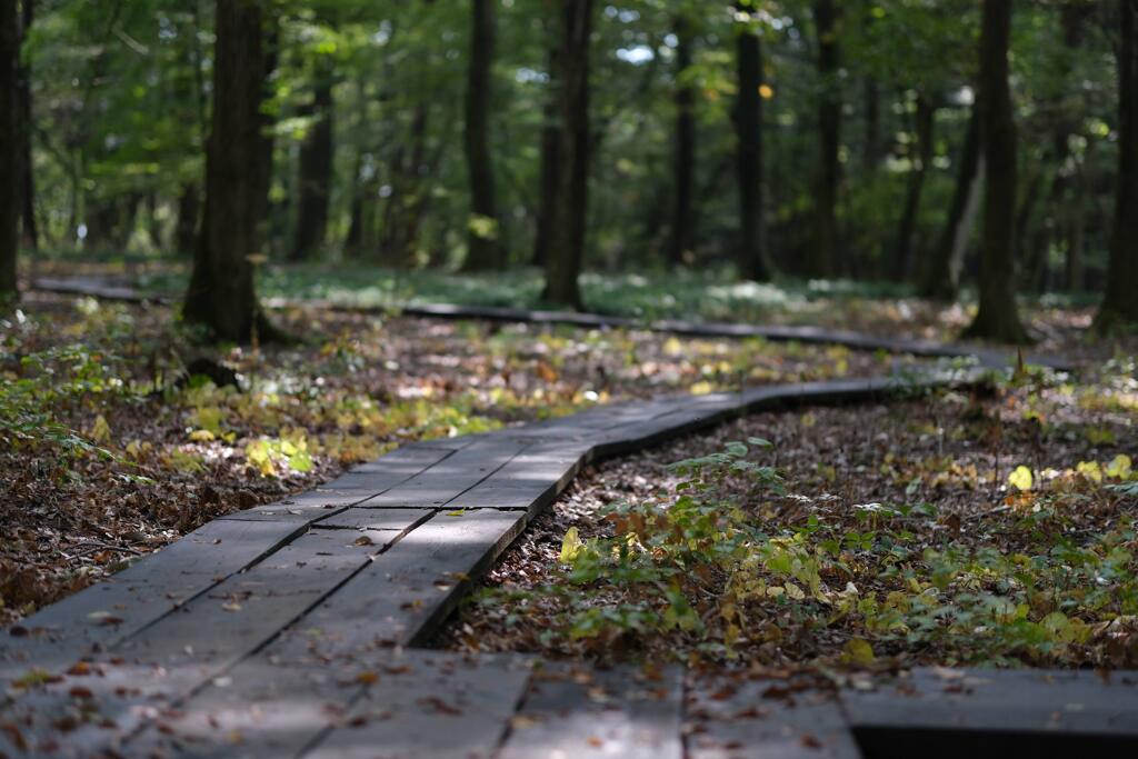 赤城自然園⑥