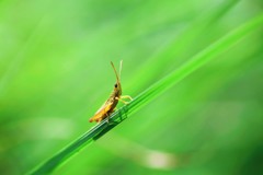 避暑地へようこそ②