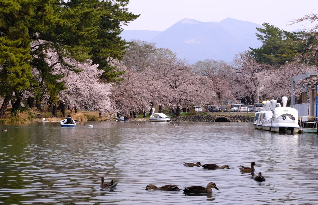 敷島公園