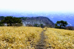 鍋割山登山道