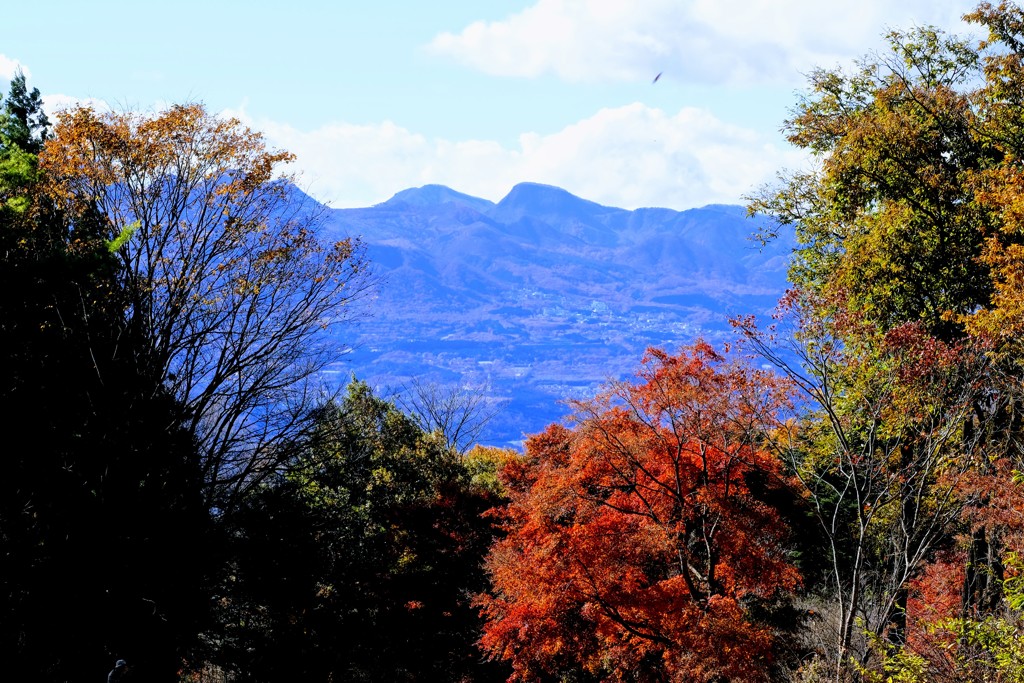 赤城自然園の紅葉⑦