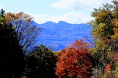赤城自然園の紅葉⑦