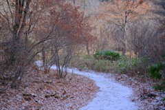 初冬の赤城自然園②
