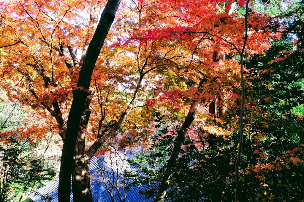 水澤③