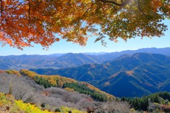 桜山の紅葉