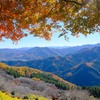 桜山の紅葉①