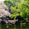 北の丸公園