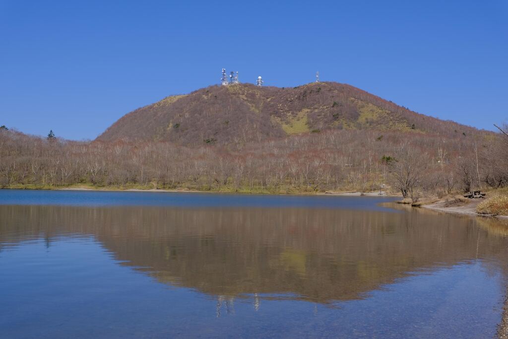 小沼