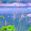 大塩湖畔