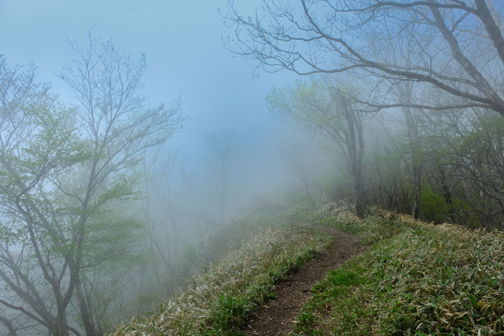 霧の登山道