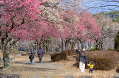 大室公園①
