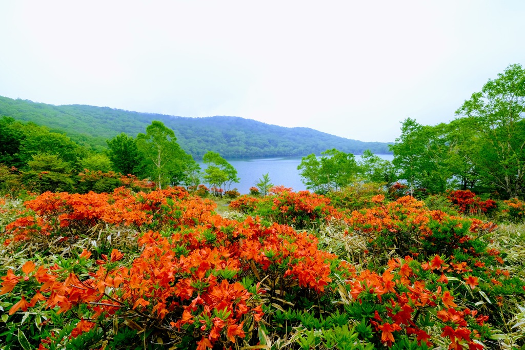 小沼湖畔②