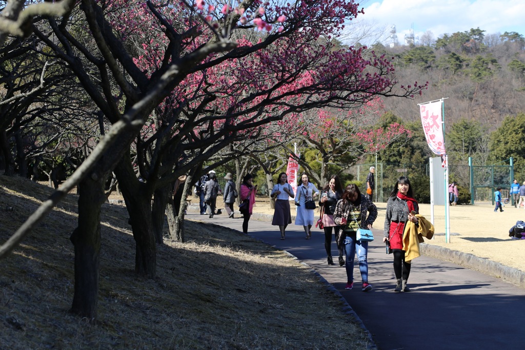 休日の桐生南公園⑦