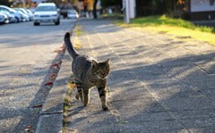 待ってよ～