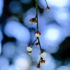雪景色の中に②