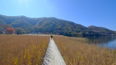 榛名湖の紅葉⑦
