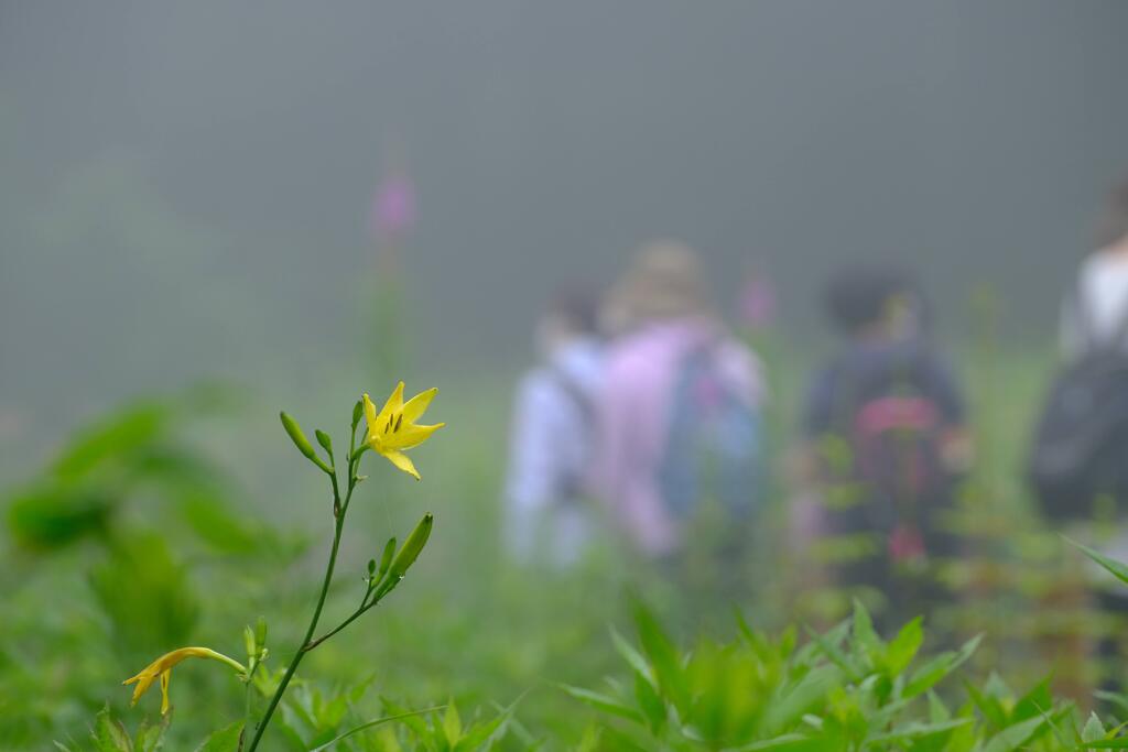 赤城自然園⑨