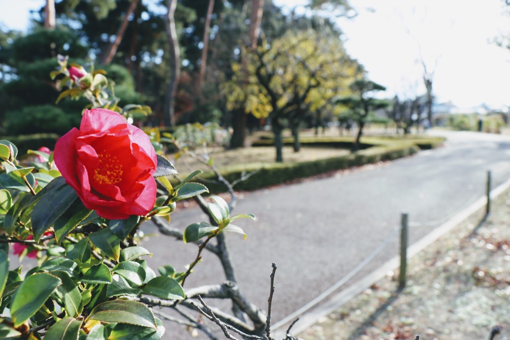 静かな公園