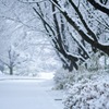 大雪②