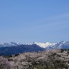 春景色①