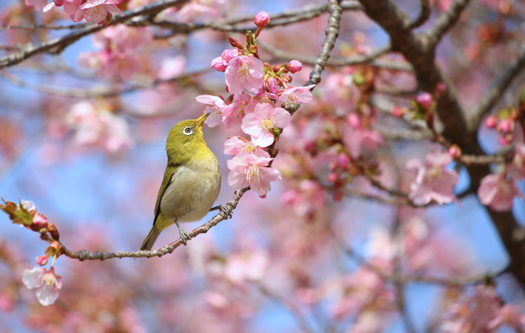 至福の時間