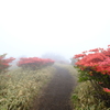 登山道