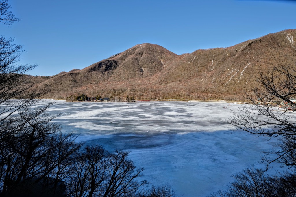 大沼
