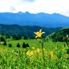 高原の夏風景②